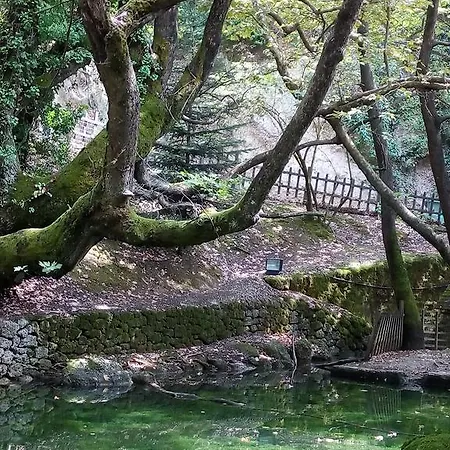 招待所 Evrostini